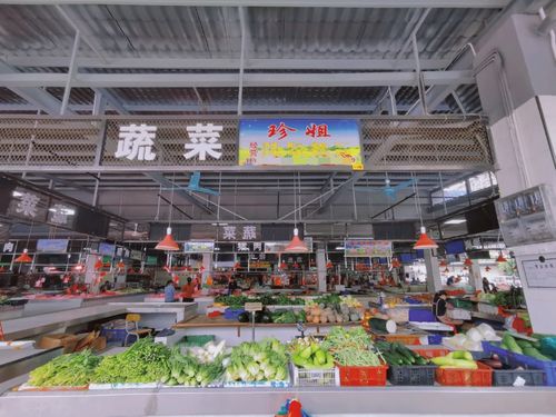 南海丹灶石聯社區 地改清河涌，路網煥新顏，商業綜合體引領華麗大變身